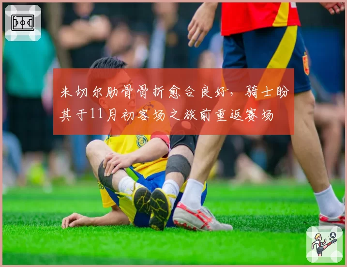 米切尔肋骨骨折愈合良好，骑士盼其于11月初客场之旅前重返赛场