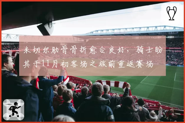 米切尔肋骨骨折愈合良好，骑士盼其于11月初客场之旅前重返赛场