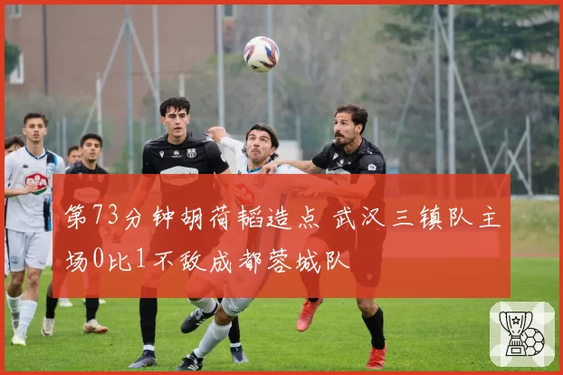 第73分钟胡荷韬造点 武汉三镇队主场0比1不敌成都蓉城队