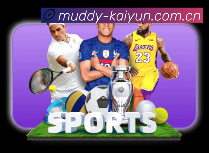 开云App亮点：多维搜索、热门结果与直达入口